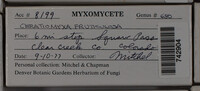 Image Associated With the Occurence